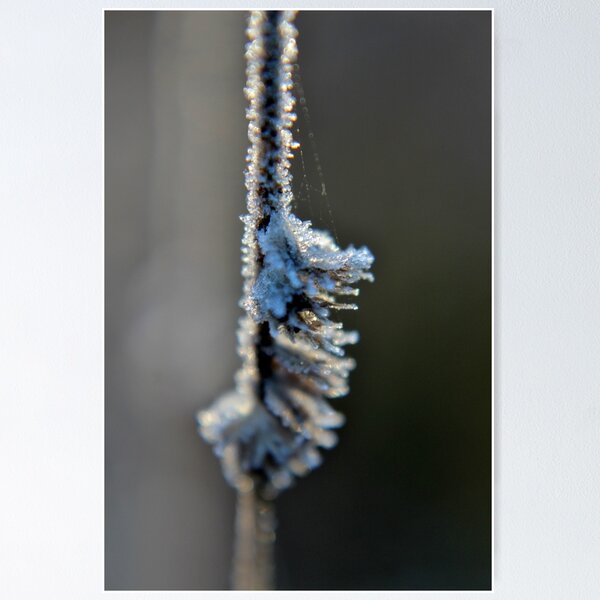 Item preview, Touch of Frost II designed and sold by Kathleen Daley.