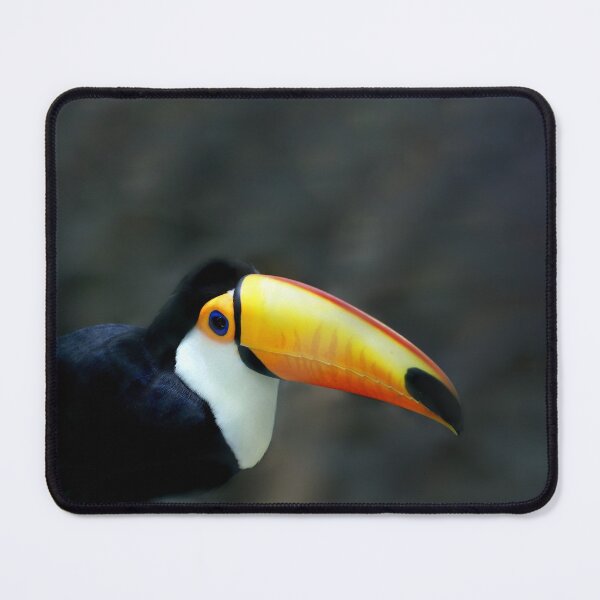 Item preview, Toucan designed and sold by Oliveirallan.