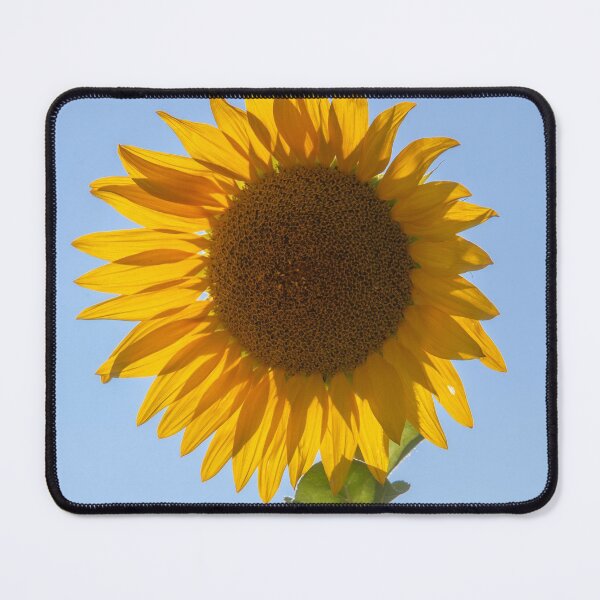 Item preview, Sunflower, Flower, Yellow, Garden, © DAM Creative, designed and sold by DAM Creative ⭐⭐⭐⭐⭐.