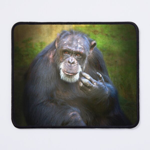 Item preview, Chimpance designed and sold by Savannah Gibbs.