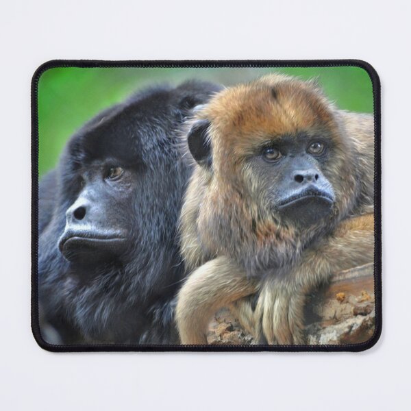 Item preview, Male and Female Howler Monkeys designed and sold by Savannah Gibbs.