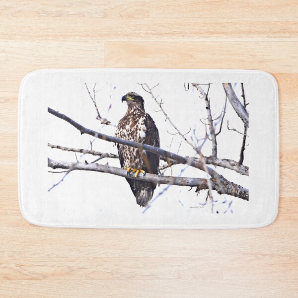 Item preview, Young Bald Eagle designed and sold by RickClarkPhotos.
