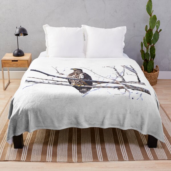 Item preview, Young Bald Eagle designed and sold by RickClarkPhotos.