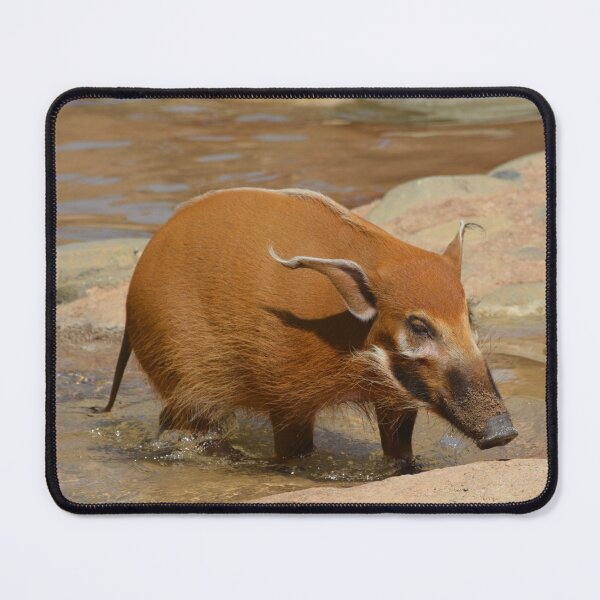 Item preview, Red River Hog designed and sold by Savannah Gibbs.