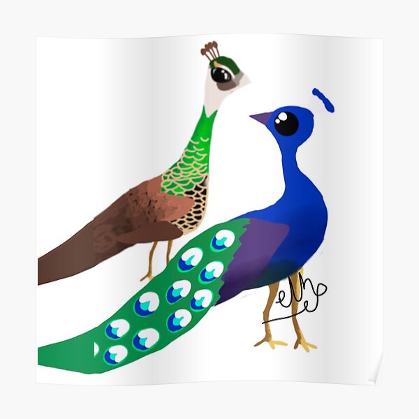 "The Peacock Couple" Poster for Sale by EllartTreasures Redbubble