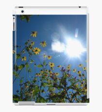Heat iPad Case/Skin