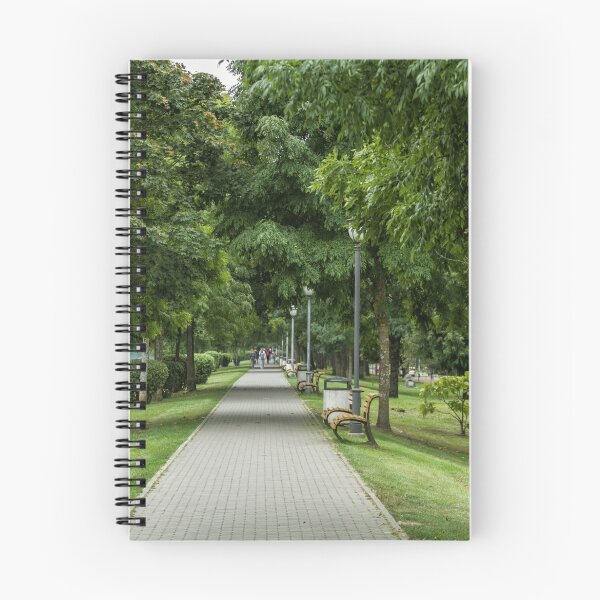 Item preview, Trees at the promenade in Birstonas designed and sold by Geraldas Galinauskas.