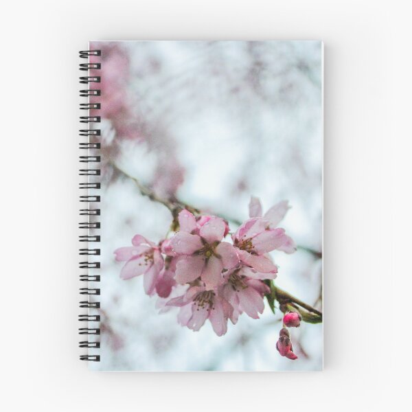Item preview, H0006 Cherry Blossom designed and sold by photographyemd.