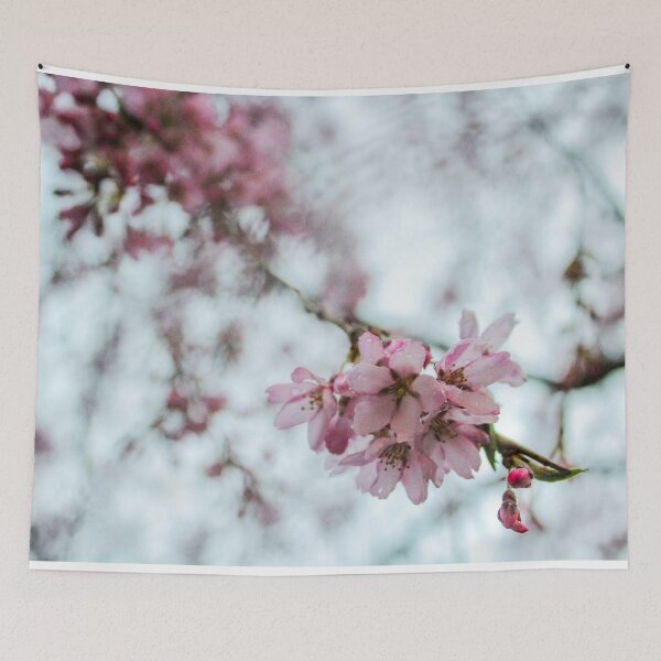 Item preview, H0006 Cherry Blossom designed and sold by photographyemd.