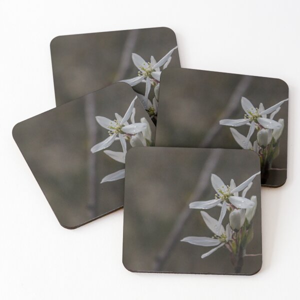 Item preview, H0007 White Flowers designed and sold by photographyemd.