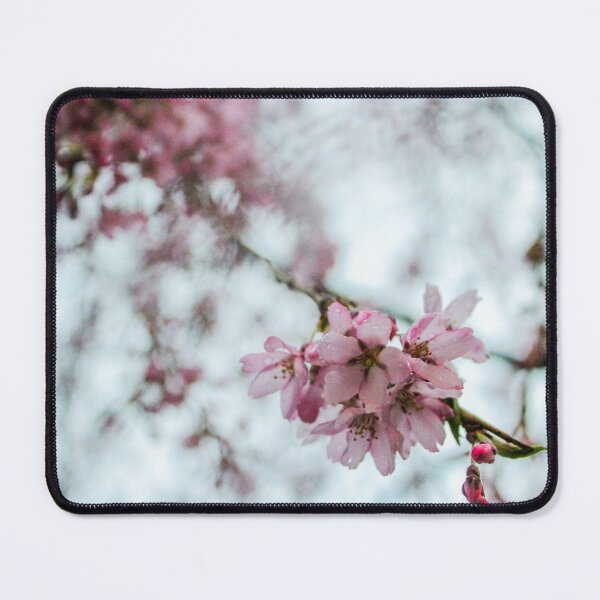 Item preview, H0006 Cherry Blossom designed and sold by photographyemd.
