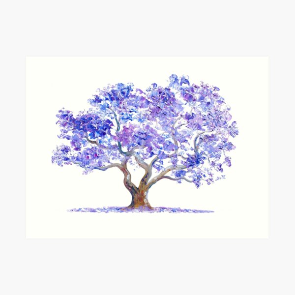 Jacaranda Tree Painting Art Print By Matsonartdesign Redbubble