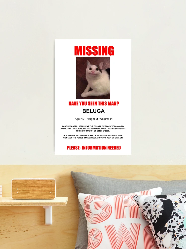 Beluga cat meme shitpost | Poster