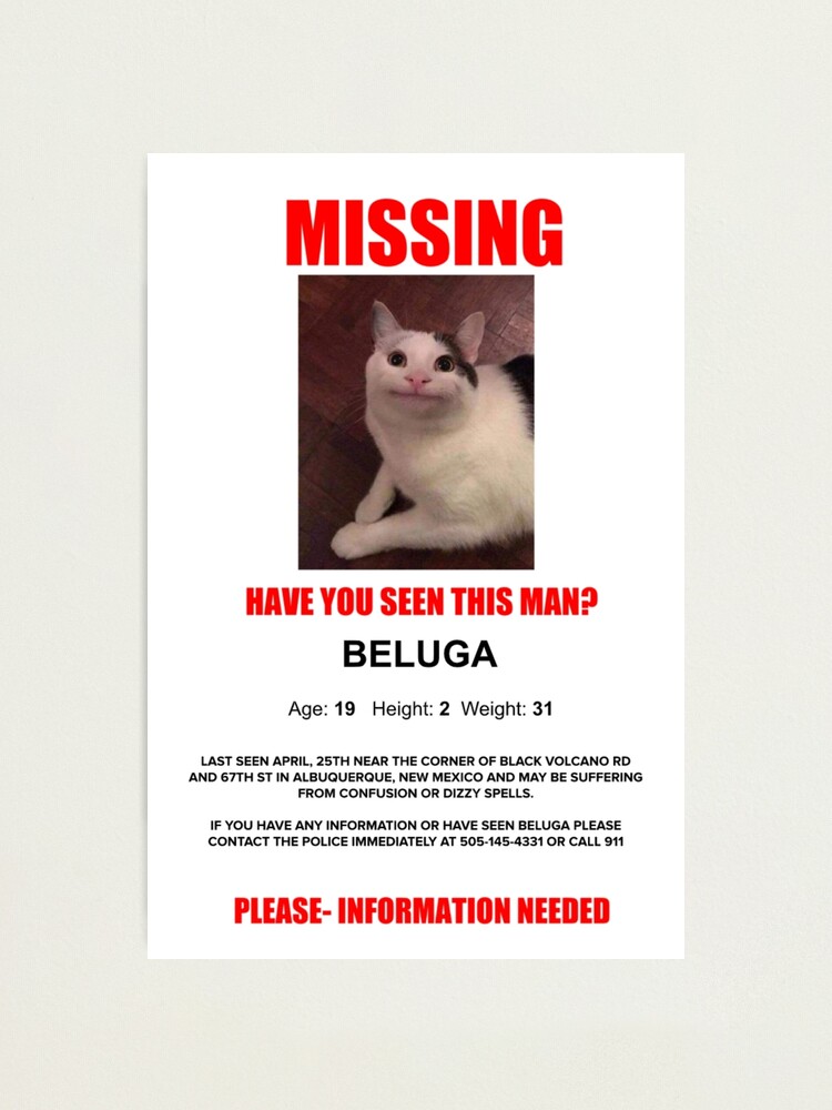 Beluga Missing Poster | Poster