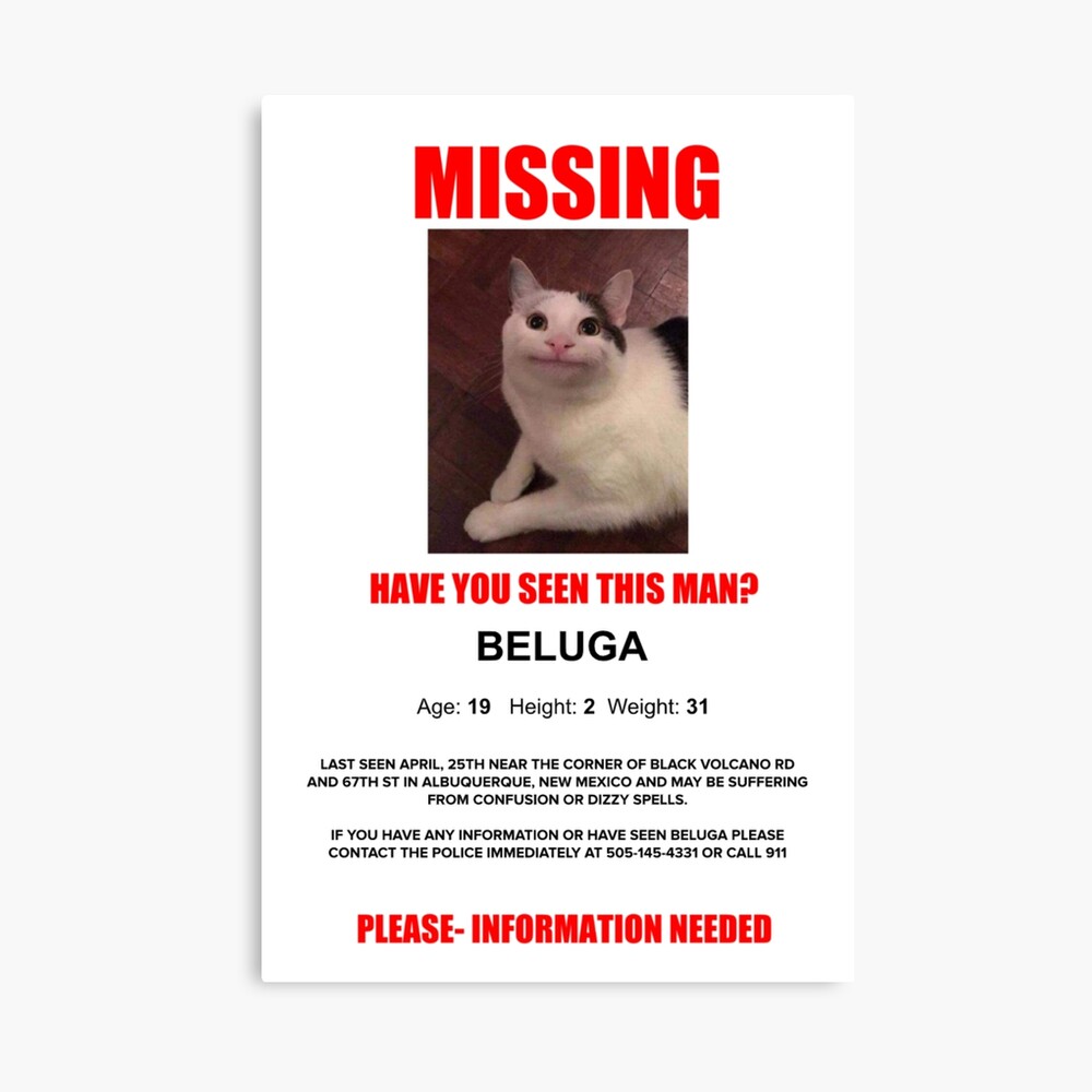 Beluga Missing Poster | Poster