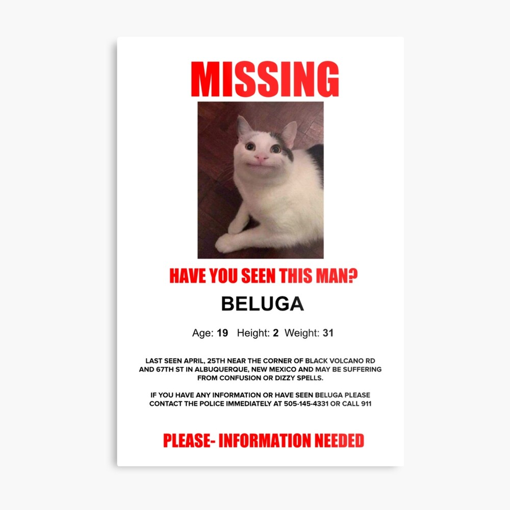 beluga cute : r/cats