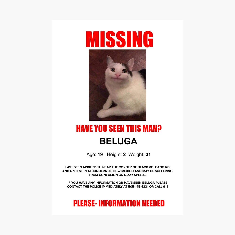 Beluga cat meme shitpost | Poster