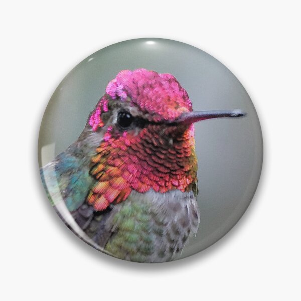 Item preview, Adult Male Anna's Hummingbird in the Plum Tree designed and sold by walkswithnature.