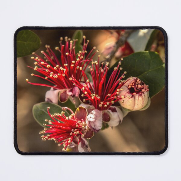 Item preview, Bling! designed and sold by Penny Heighes.