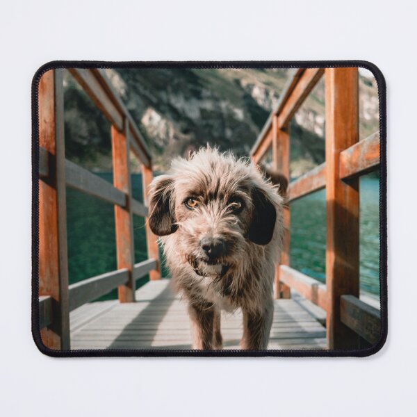 Item preview, Gorgeous dog by the sea with beautiful eyes designed and sold by IMPHives.