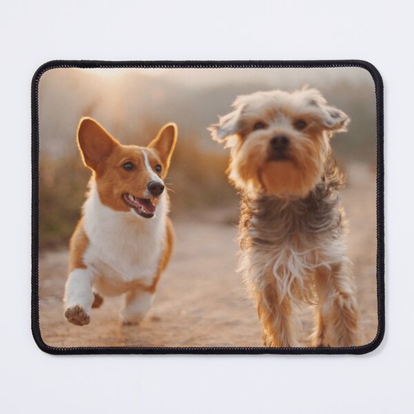 Item preview, Best Buddies designed and sold by IMPHives.