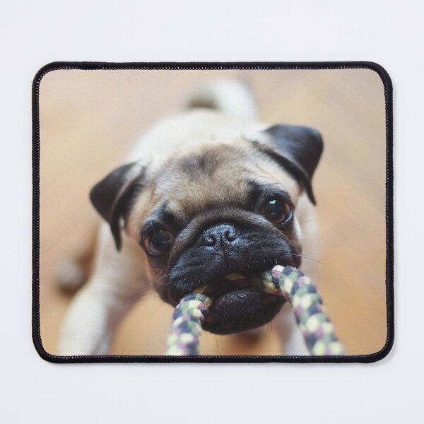 Item preview, Pug-O-War! designed and sold by IMPHives.
