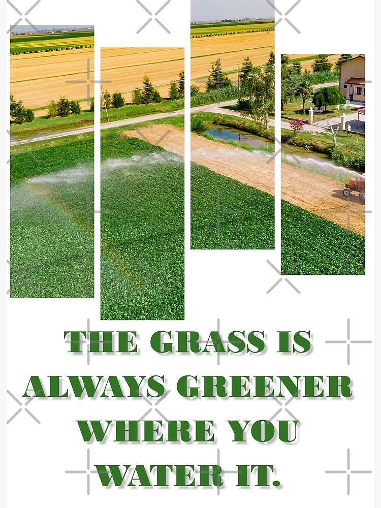 The Grass Is Always Greener Where You Water It Poster By Shearperfection Redbubble