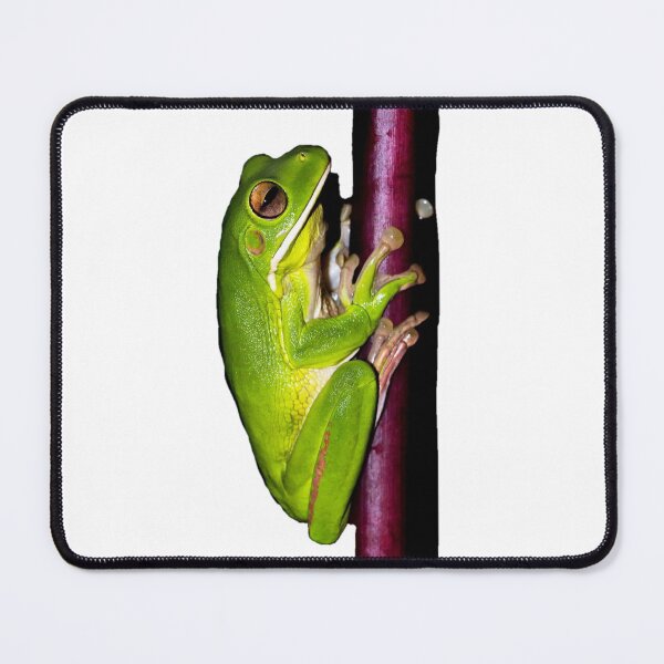 Item preview, Green Tree Frog designed and sold by IMPHives.