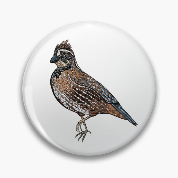 Item preview, Bobwhite Quail designed and sold by saracathey.
