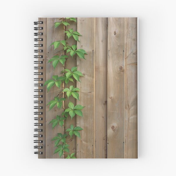Item preview, Copy space background with a vine of green Virginia Creeper Ivy climbing up a new wooden fence.  designed and sold by InnaEvans.