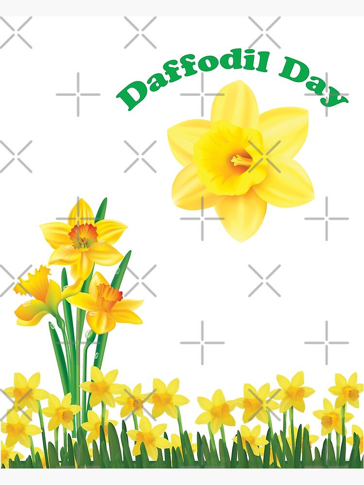 "Daffodil Day Daffodil Cancer Awareness Day " Poster for Sale by
