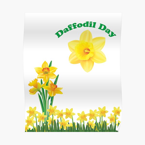 "Daffodil Day Daffodil Cancer Awareness Day " Poster for Sale by