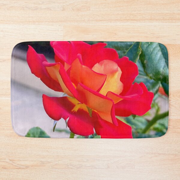 Item preview, Single Red and Orange Rose Blooming designed and sold by Outside365.