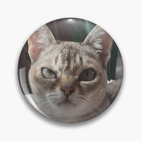 Item preview, Speedball judging you designed and sold by Cat-yawns.