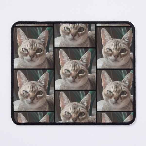 Item preview, Speedball judging you designed and sold by Cat-yawns.