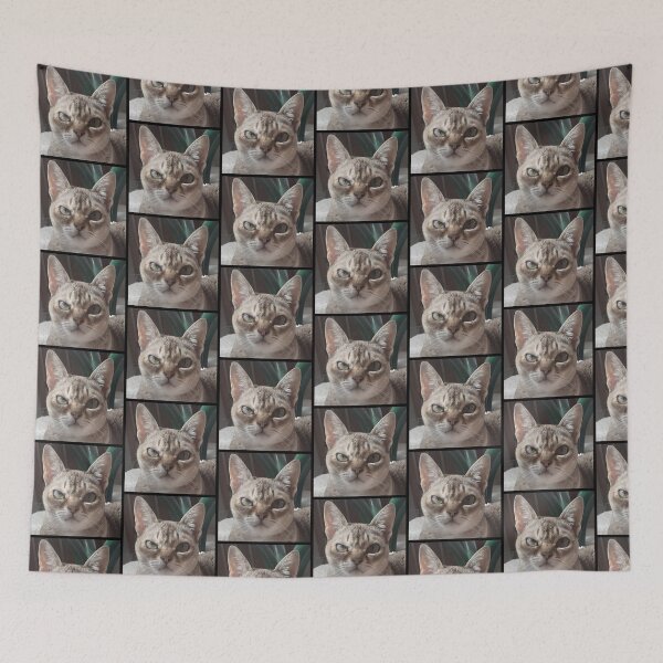 Item preview, Speedball judging you designed and sold by Cat-yawns.