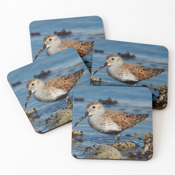 Item preview, A Solitary Dunlin at the Jetty designed and sold by walkswithnature.