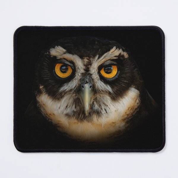 Item preview, Trading Glances with a Spectacled Owl designed and sold by walkswithnature.
