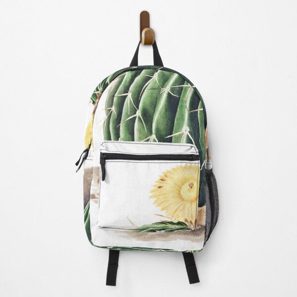 Item preview, Parodia Sellowii (Echinocactus Sellowianus) de Iconographie descriptive des cactées designed and sold by two peas in a pod.
