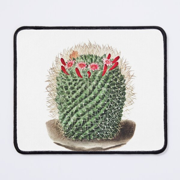 Item preview, Pincushion Cactus (Mammillaria Dolichocentra) from Iconographie descriptive des cactées designed and sold by two peas in a pod.