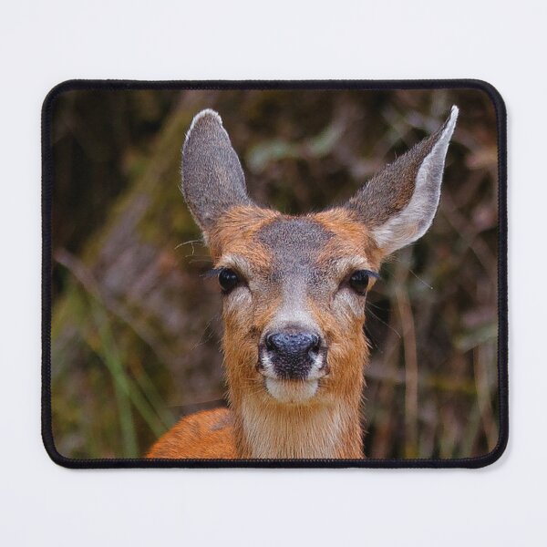 Item preview, Cute Blacktail Deer Smile designed and sold by walkswithnature.
