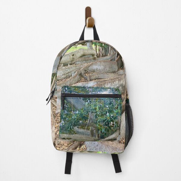 Item preview, Balboa Park Morton Bay Fig Tree San Diego designed and sold by Outside365.