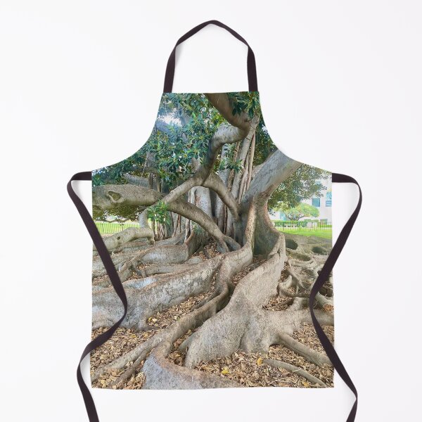 Item preview, Balboa Park Morton Bay Fig Tree San Diego designed and sold by Outside365.
