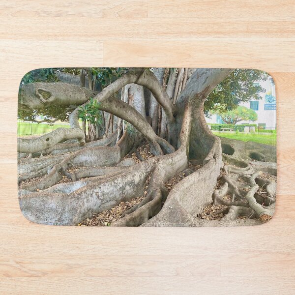 Item preview, Balboa Park Morton Bay Fig Tree San Diego designed and sold by Outside365.