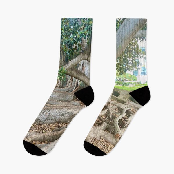 Item preview, Balboa Park Morton Bay Fig Tree San Diego designed and sold by Outside365.