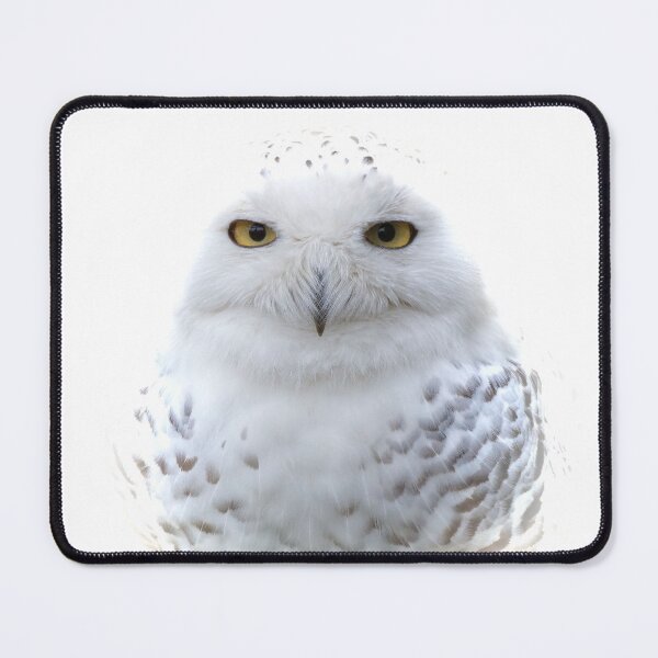 Item preview, A Serene Snowy Owl designed and sold by walkswithnature.