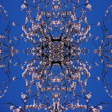Artwork thumbnail, Blue Skies Pink Blossom by Adelaide Artist Avril Thomas at Magpie Springs by MagpieSprings