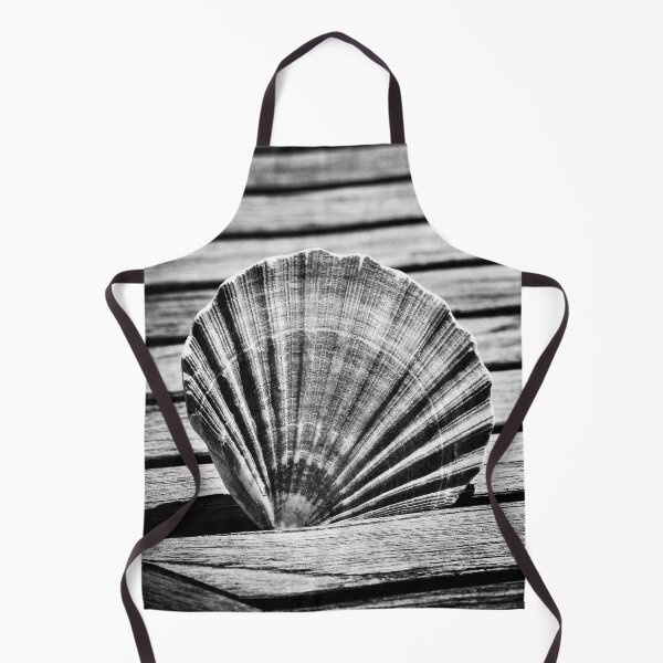 Item preview, Scallop Shell and Timber designed and sold by Dave Hare Photography.
