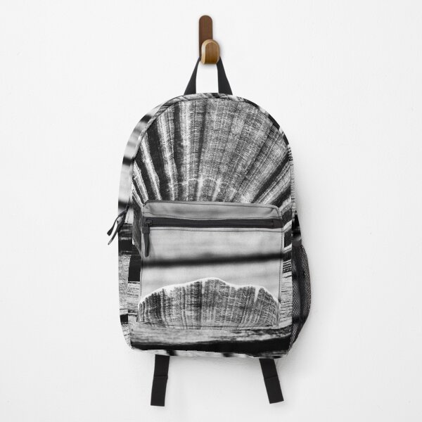 Item preview, Scallop Shell and Timber designed and sold by Dave Hare Photography.