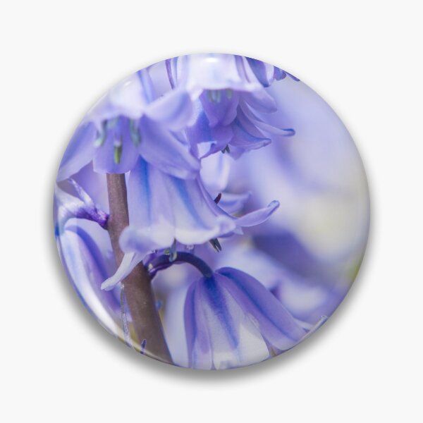 Item preview, Bluebells designed and sold by Dave Hare Photography.